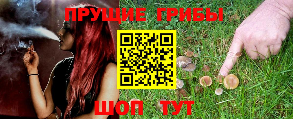 Галлюциногенные грибы MAGIC MUSHROOMS  где можно купить наркотик  Рубцовск  Псилоцибиновые грибы MAGIC MUSHROOMS  Вход с VPN 